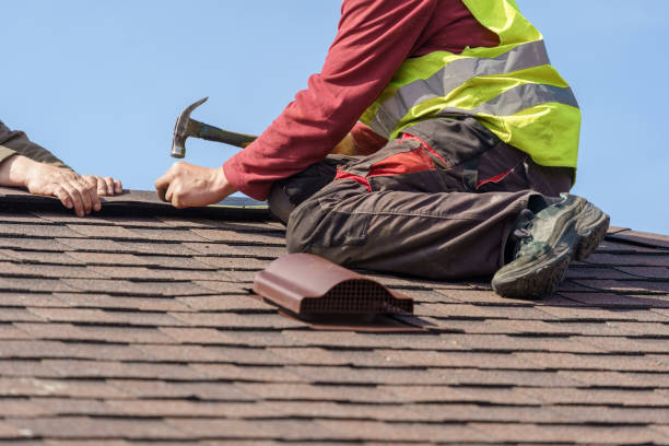 Best Sealant for Roof  in Croswell, MI