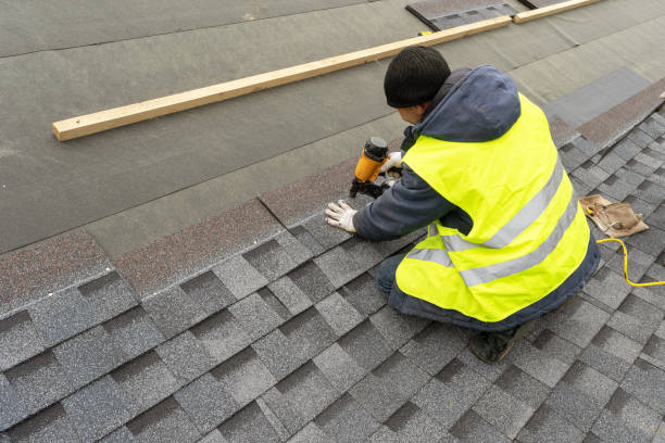 Best Metal Roofing Contractor  in Croswell, MI