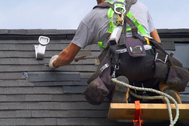 Best Affordable Roof Replacement  in Croswell, MI