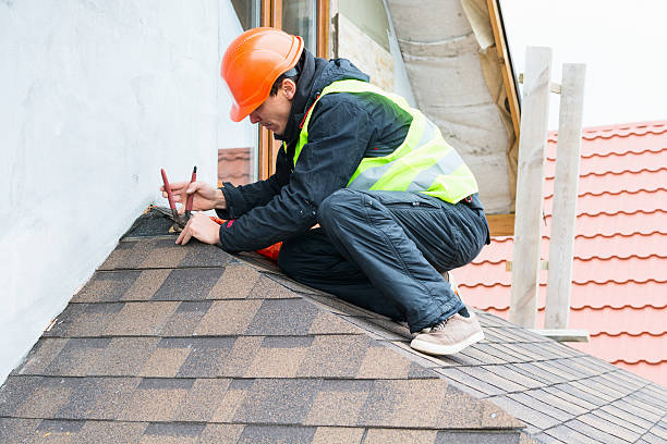 Roof Gutter Cleaning in Croswell, MI